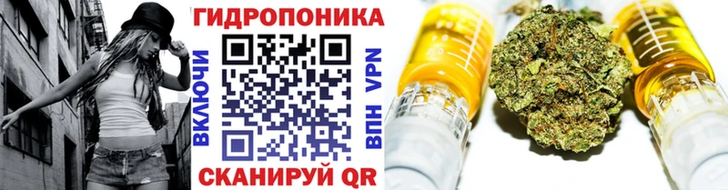 Купить закладку Сунжа Марихуана  СОЛЬ  Меф мяу мяу 