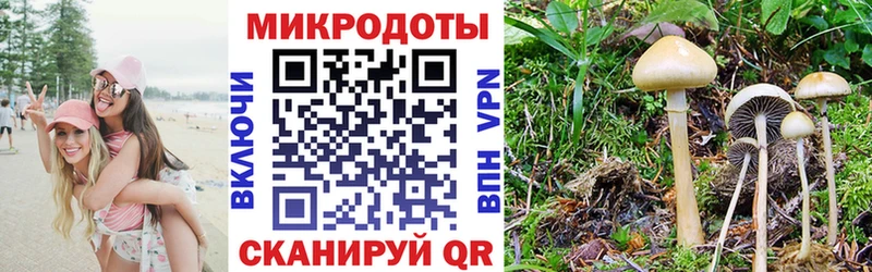 omg онион  Сунжа  Псилоцибиновые грибы ЛСД  купить наркоту 